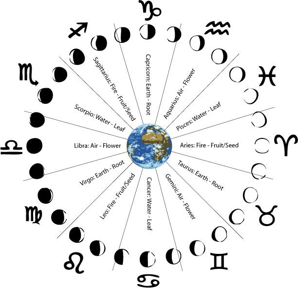 Moon Phases and Their Effects